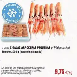 Abordo Cigalas arroceras pequeñas oferta