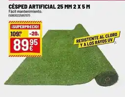 Brico Depôt Cèsped artificial 25 mm 2 x 5 m oferta