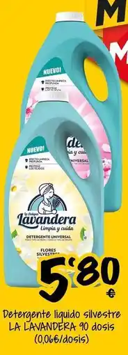 Cash Fresh Lavandera - detergente liquido silvestre oferta
