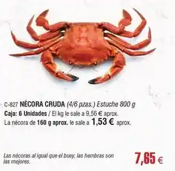 Abordo El buey - necora cruda oferta