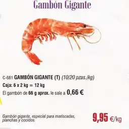 Abordo Gambon gigante oferta