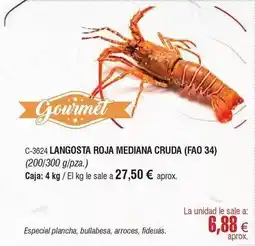Abordo Gourmet - langosta roja mediana cruda oferta