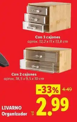 Ocine Livarno - organitzador oferta
