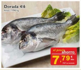 Cash Ecofamilia Dorada 4/6 oferta