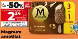 Dia Magnum ametllat oferta