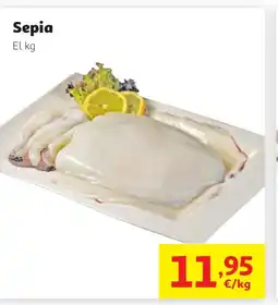 Alcampo Sepia oferta
