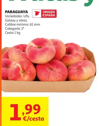 Alcampo Paraguaya oferta