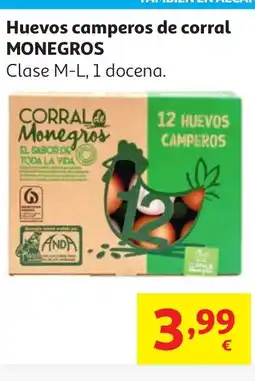 Alcampo MONEGROS Huevos camperos de corral oferta