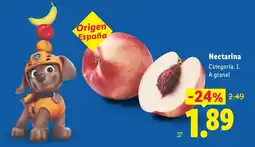 Lidl Nectarina oferta