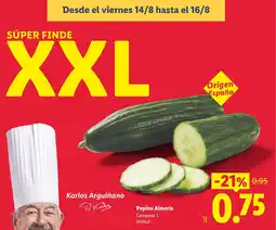 Lidl Pepino Almería oferta