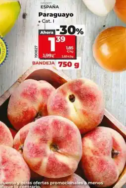Dia Paraguayo oferta