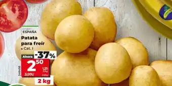 Dia Patata para freir oferta