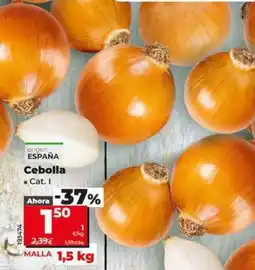Dia Cebolla oferta
