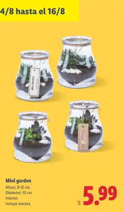 Lidl Mini garden oferta