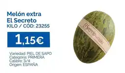 Dialsur Cash & Carry Secretísima - melón extra oferta