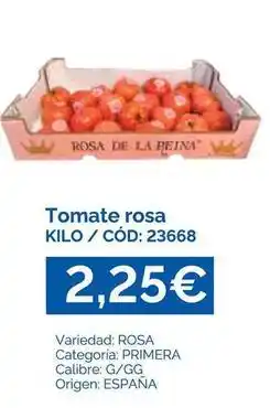 Dialsur Cash & Carry Origen - tomate rosa oferta