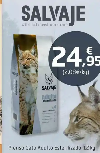 TiendAnimal Pienso gato adulto esterilizado oferta