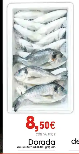 Cash Ifa Dorada oferta