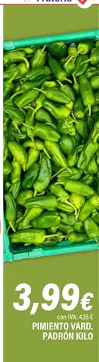 Cash Ifa Pimiento vard. padrón oferta