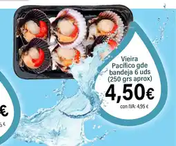 Cash Ifa Vieira Pacífico gde bandeja 6 uds oferta