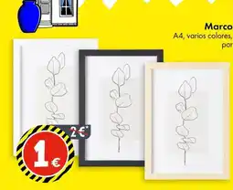 TEDi Marco oferta