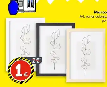 TEDi Marco oferta
