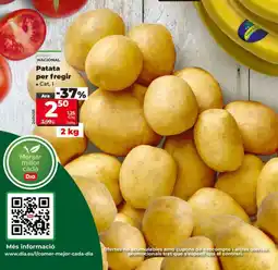 Maxi Dia Patata per fregir oferta