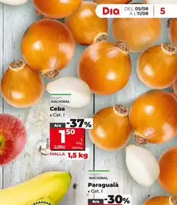Maxi Dia Ceba oferta