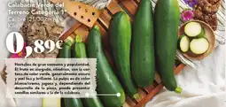 Gadis Calabacin Verde del Terreno oferta