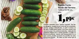 Gadis Pepino Corto Verde del Terreno oferta