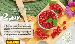 Gadis Grosella Roja Ecológica oferta
