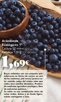 Gadis Arándanos Ecológicos 1ª oferta