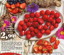 Gadis Fresas oferta