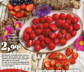 Gadis Fresas oferta