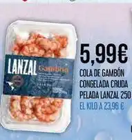 Claudio Lanzal - cola de gambon congelada cruda pelada oferta