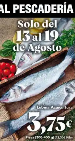 Gadis Lubina Acuicultura oferta