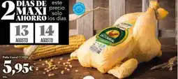 Gadis Solo - pollo coral oferta