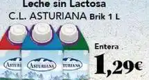 Gadis La asturiana - leche sin lactosa c.l oferta
