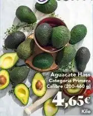 Gadis Aguacate hass categoria primera calibre oferta