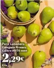 Gadis Pera limonera categoria primera calibre oferta