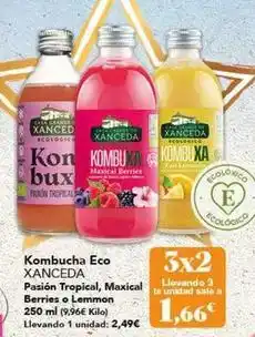 Gadis Xanceda - kombucha eco oferta
