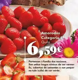 Gadis Amordos categoria 1 oferta