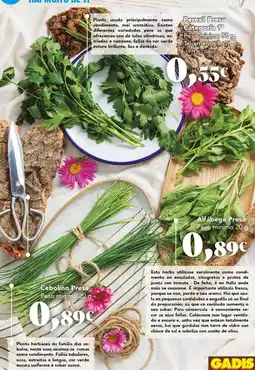 Gadis Pizzas sensitive alpine de limon oferta