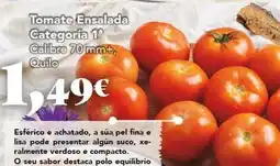 Gadis Tomate ensalada oferta