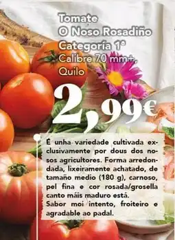 Gadis Sos - tomate o noso rosadino oferta