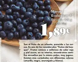 Gadis Zas! - moras ecológicas oferta