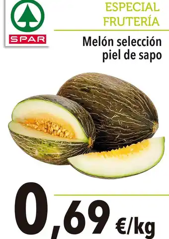 Spar - melon seleccion piel de sapo