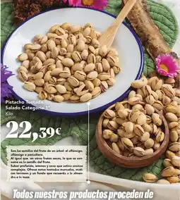 Gadis Seco - pistacho salado categoria oferta