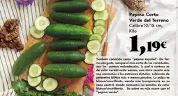 Gadis Claro - pepino corto verde del terreno oferta