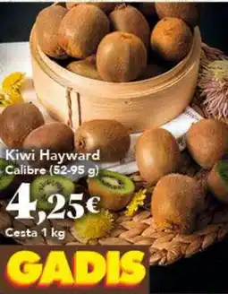 Gadis Kiwi Hayward oferta